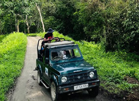 kaziranga tour