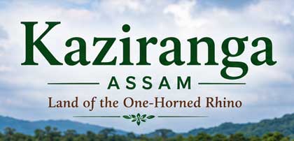 kaziranga assam
